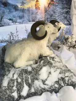 Hervormbare sheet rots 100x60cm