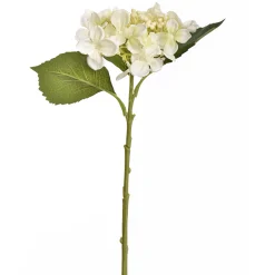 Hydrangea creme 45 cm
