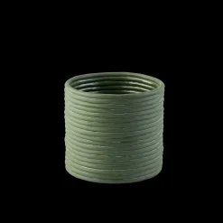 Juniper Gr. Orch. pot D17