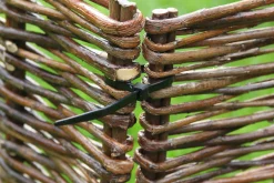 Kabelbinder 30cm zwart 25 stuks