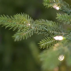 Kerstboom buckingham 213cm 650 led