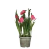 Kievitsbloem in roze plastic pot - h23xd8,5cm