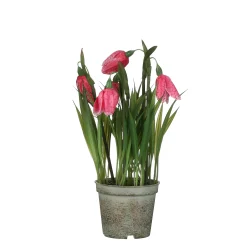 Kievitsbloem in roze plastic pot - h23xd8,5cm