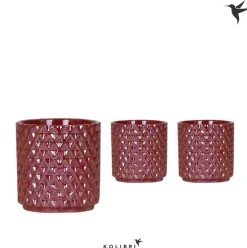 Kolibri home diam red potje