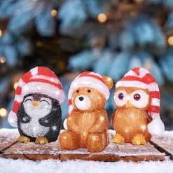 Led dier acryl steady batterij