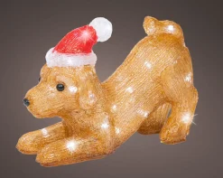 Led hond acryl steady