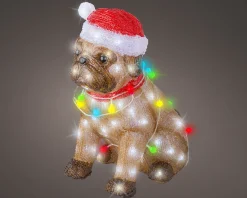 Led hond buiten koel wit