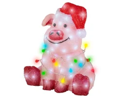 Led varken acryl steady