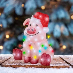 Led varken acryl steady