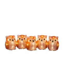 Lichtsnoer 5 acryl uilen 5m 40led warmwit voor buiten