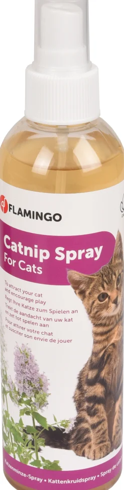 Lokstof premium care derek  catnip oranje