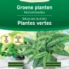 Meststofstaafjes voor groene planten 40 stuks