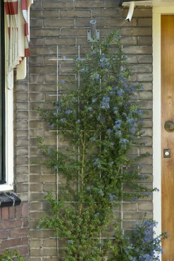 Metalen klimrek groen