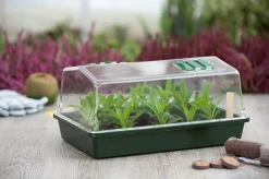 Mini-kweekbak met ventilatieopeningen