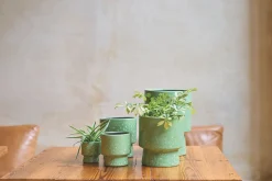 MINIPOT D7,5 MOON GRASGROEN