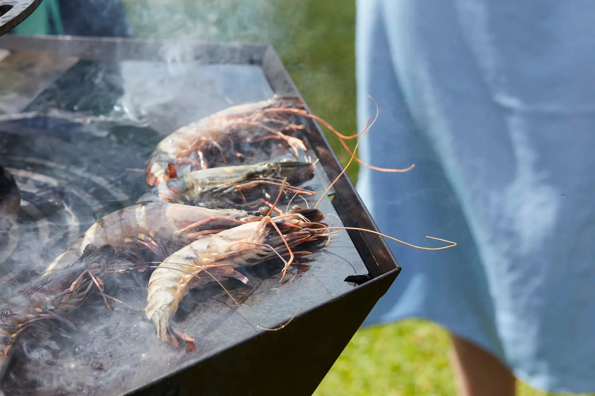 Nestor Original zwart