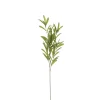 Olijf branche groen - l85cm