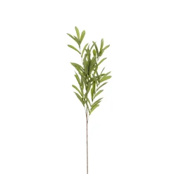Olijf branche groen - l85cm
