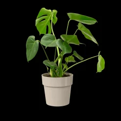 ORIGINAL ROND 30CM WARM GRIJS