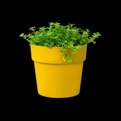 ORIGINAL ROND MINI 7CM OKER