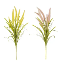 Pluimgras - l58cm
