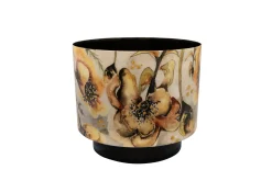 Pot camelia charm d22 h20