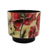 Pot camelia poppy d22 h20