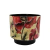 Pot camelia poppy d20 h19