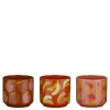 Pot fruit oranje roze paars 3 assorti display - h10,5xd12cm