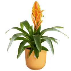 Pot jazz rond 19cm amber geel