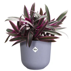 Pot jazz rond 14cm lavendel lila