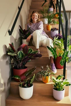 Pot jazz rond 26cm lavendel lila