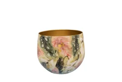 Pot monstera mystery d17 h14