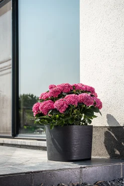 Pot Respect met reservoir 20x20h17 zwart-antraciet