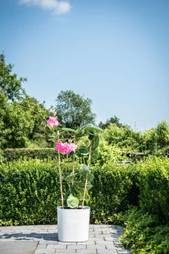 Pot Respect met reservoir25x25h21 wit