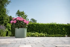 Pot Respect met reservoir 40x40h30 groen-grijs