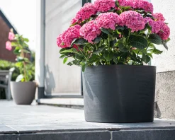 Pot Respect met reservoir 40x40h30 zwart-antraciet