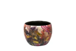 Pot sweet magnolia d9 h7