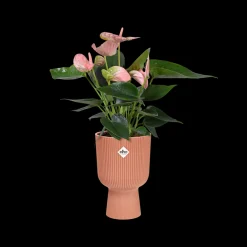 Pot vibes fold coupe 14cm delicate roze
