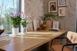 Pot Vibes fold orchidee