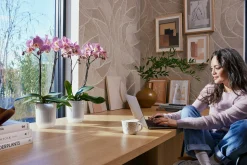 Pot Vibes fold orchidee