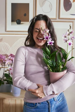 Pot Vibes fold orchidee