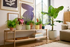 Pot vibes fold wiel 35cm zijdew