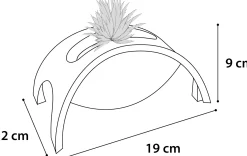 Ps roller crazy bridge