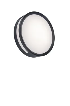 Rola wand / plafondlamp donkergrijs led 13w