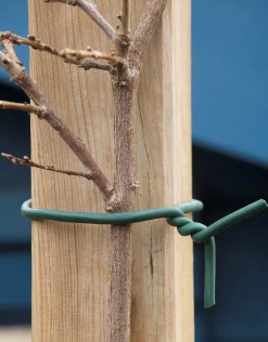 Rubber bindband d6mm x 5m