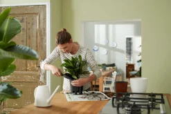 SELF-WATERING INSERT 21CM LIVING BLACK