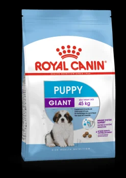 Shn puppy giant 3.5kg