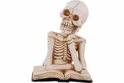 Skelet on book led light natuur