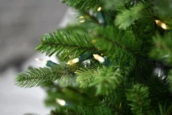 Snowy norfolk entr. tree pot 137cm 200l transfo